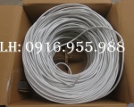 Các loại cáp mạng cat5 nào phố biến trên thị trường Việt Nam