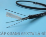 Cáp quang 4fo, 8fo, 12fo, 24fo Multimode GYXTW là gì?