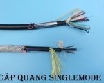 Cáp quang Singlemode 4fo, 8fo, 12fo được ưa chuộng nhất - vì sao?