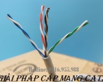 Tìm hiểu cáp mạng cat5, cat5e Vinalan - Giải pháp kết nối mạng ổng định - giá rẻ 