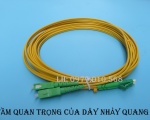 Tầm quang trọng của dây nhảy quang trong ngành viễn thông